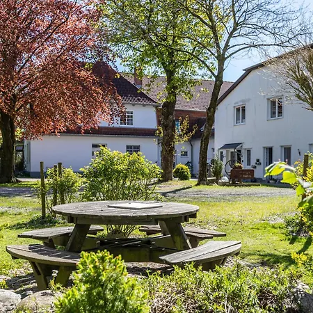 Denkerhof Blume Des Lebens Reußenköge