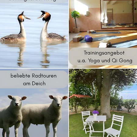 Haevn-erholung,fewo Blume D. Lebens Appartement Reußenköge