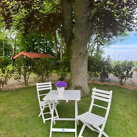 Apartment Haevn-erholung,fewo Blume D. Lebens